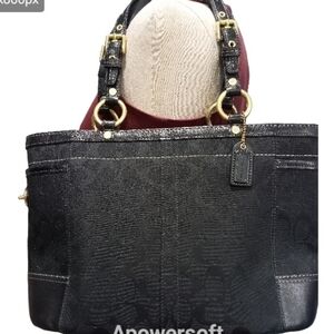 Coach Classic monogram black Purse